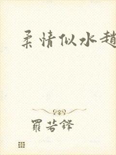 柔情似水赵雅儿封面
