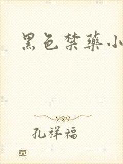 黑色禁药小说