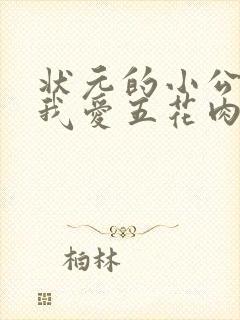 状元的小公主(我爱五花肉)封面