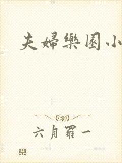 夫妇乐园小说