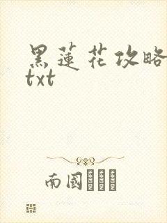 黑莲花攻略手册txt