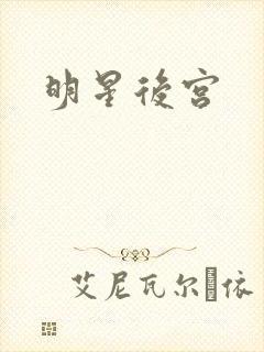 明星后宫