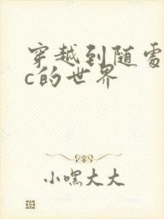 穿越到随处可以c的世界
