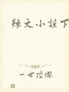 辣文小说下载封面