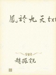 凤于九天txt