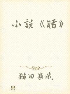 小说《赌》