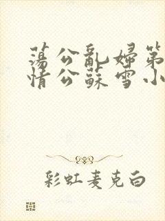荡公乱妇第1章情公苏雪小说