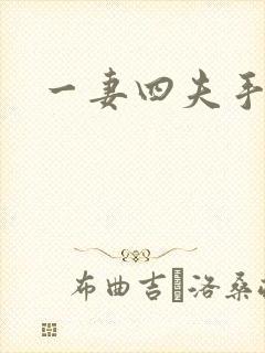 一妻四夫手记