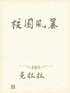 校园风暴封面