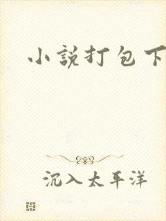 小说打包下载