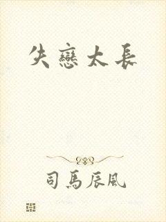 失恋太长封面