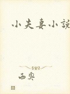 小夫妻小说