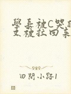 学长被C哭爬走又被拉回来