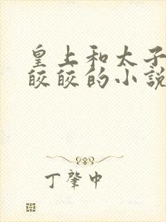 皇上和太子妃沈皎皎的小说免费封面