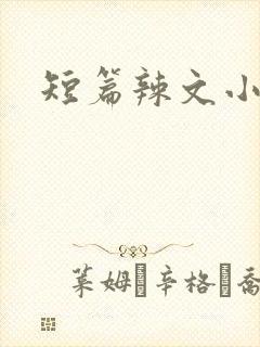 短篇辣文小说