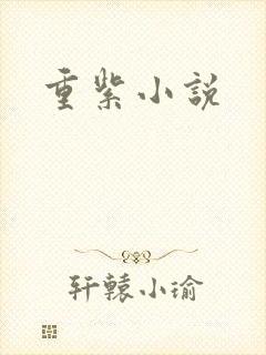 重紫小说