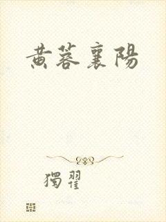 黄蓉襄阳
