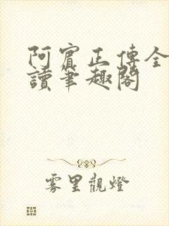 阿宾正传全文阅读笔趣阁