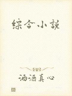 综合小说封面