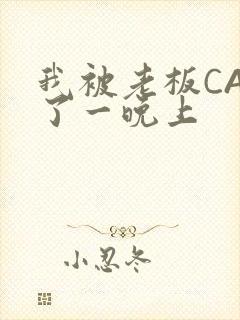 我被老板CAO了一晚上