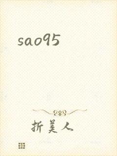 sao95封面