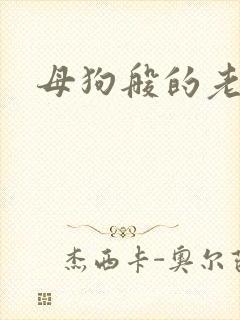 母狗般的老师封面