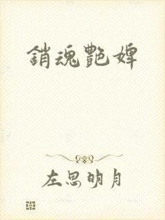 销魂艳婢封面