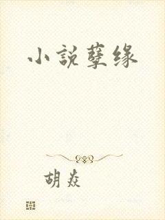 小说孽缘
