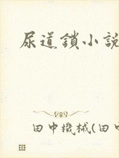 尿道锁小说