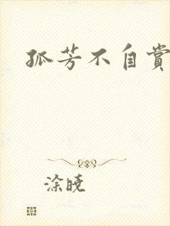 孤芳不自赏小说