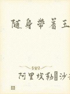 随身带着玉如意封面