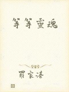等等灵魂