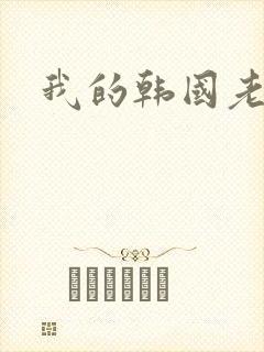 我的韩国老婆封面