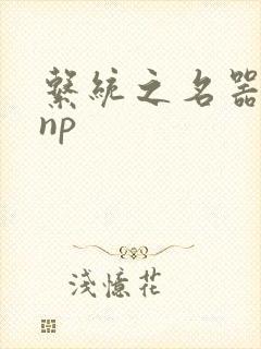 系统之名器攻略np