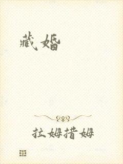 藏婚封面