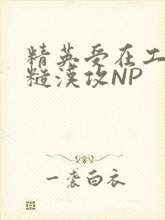 精英受在工地被糙汉攻NP
