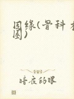 因缘(骨科 校园)