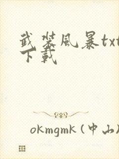 武装风暴txt下载