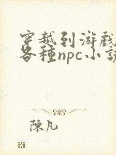 穿越到游戏里和各种npc小说