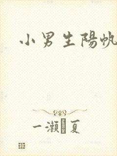 小男生阳帆