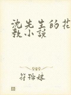 沈先生的花式调教小说