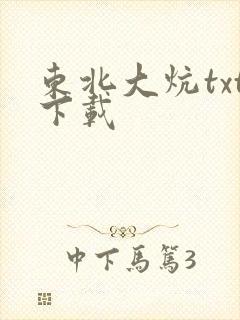 东北大炕txt下载封面