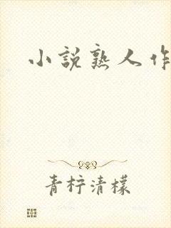 小说熟人作案