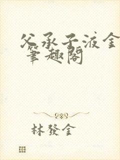 父承子液金银花 笔趣阁封面