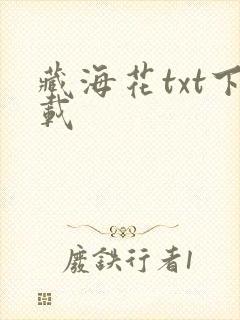 藏海花txt下载