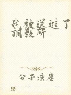 我被送进了私奴调教所