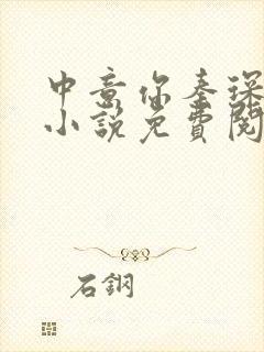 中意你秦琛苏沫小说免费阅读封面