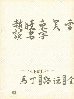 赵晓东吴雪晴小说名字