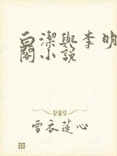 白洁与李明笔趣阁小说封面