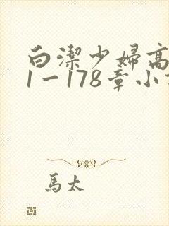 白洁少妇高义第1一178章小说